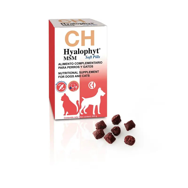 Chemical Hyalophyt MSM mäkké tabletky, 225 g