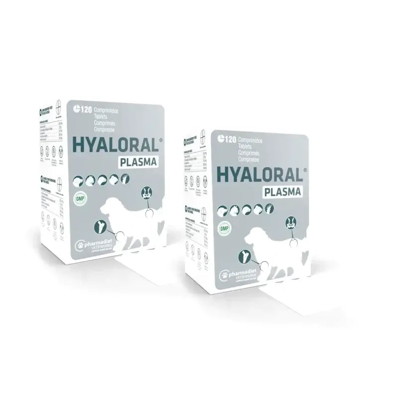 Hyaloral Plasma 120 tabliet, balenie po 2