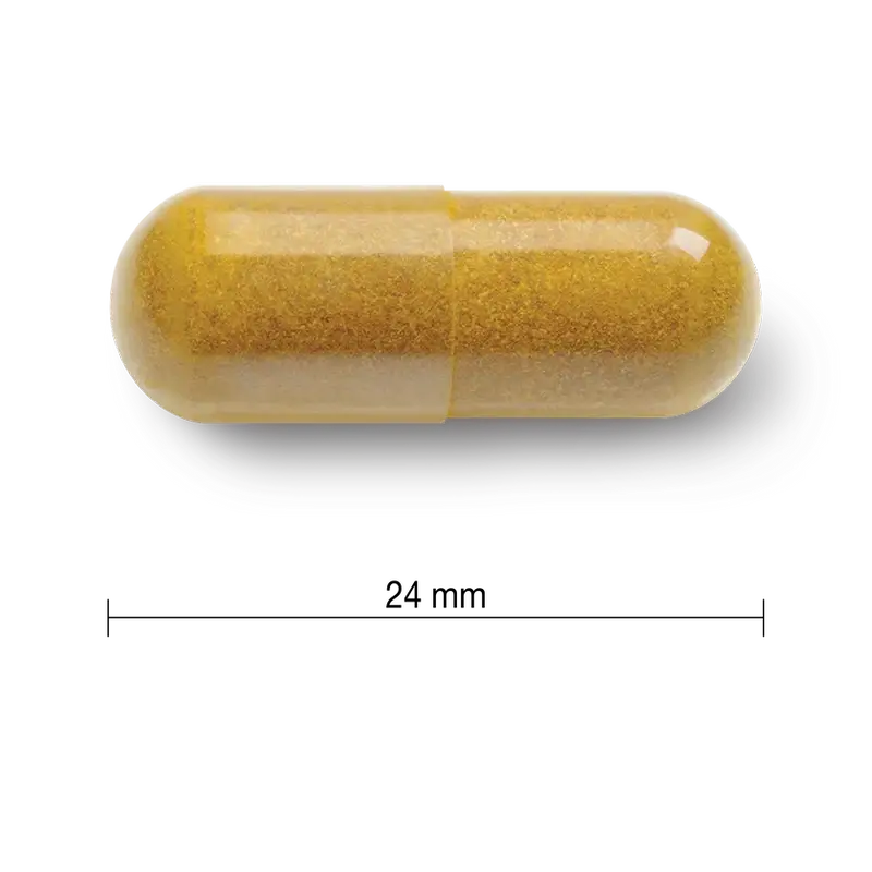 Jamieson Kurkumín Curcuma 550 mg, 60 kapsúl