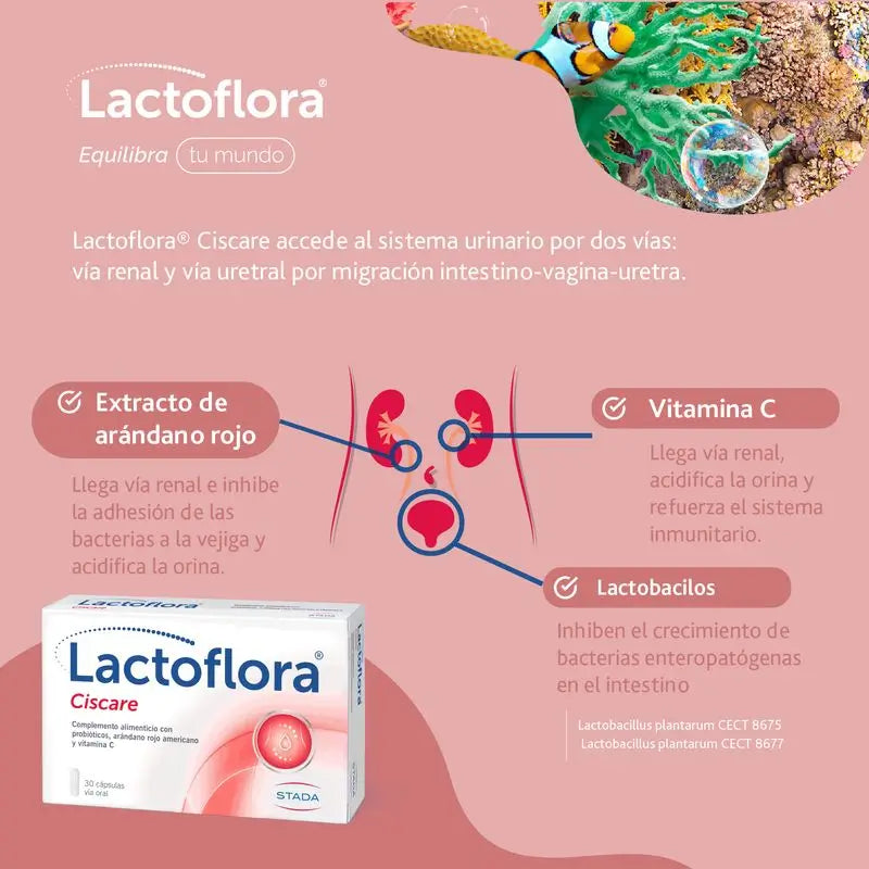 Lactoflora Ciscare 30 kapsúl