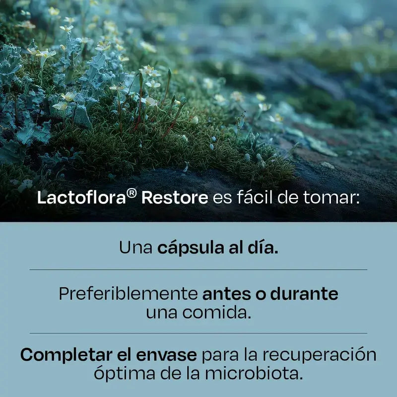 Lactoflora Restore 20 kapsúl