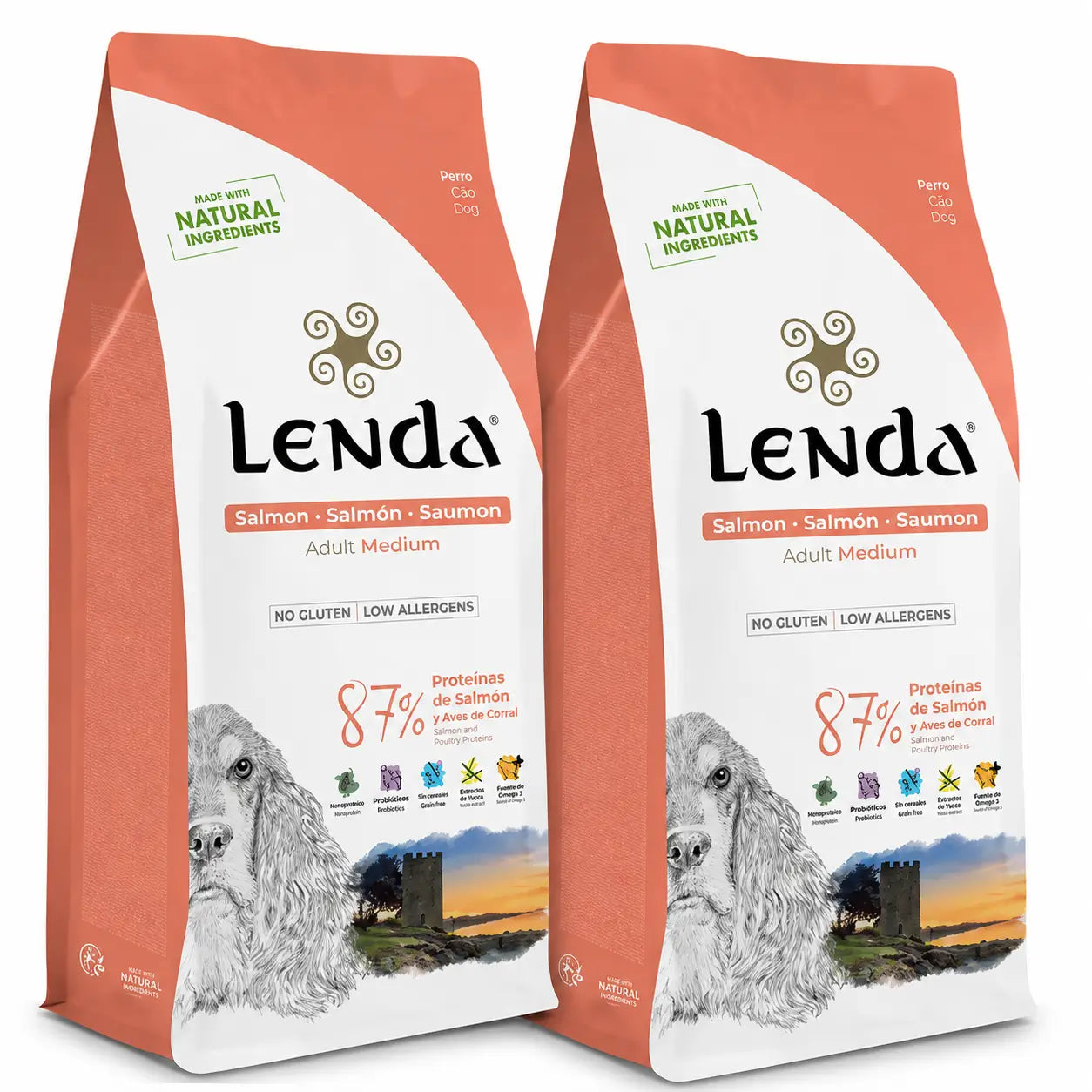 Lenda pre dospelých psov – losos, 2 × 2 kg