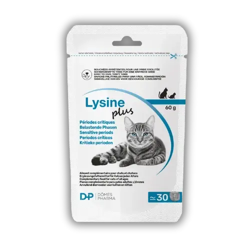 Lysine Plus 30 snackov po 2 g 