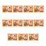Nature's Variety Mini Flowpack, 100 g, balenie po 11 ks