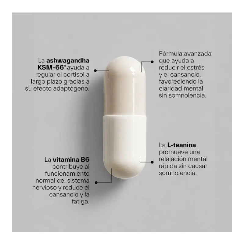 Ndl Pro-Health Ashwagandha Ksm-66 z ekologického pestovania + L-teanín, 120 kapsúl