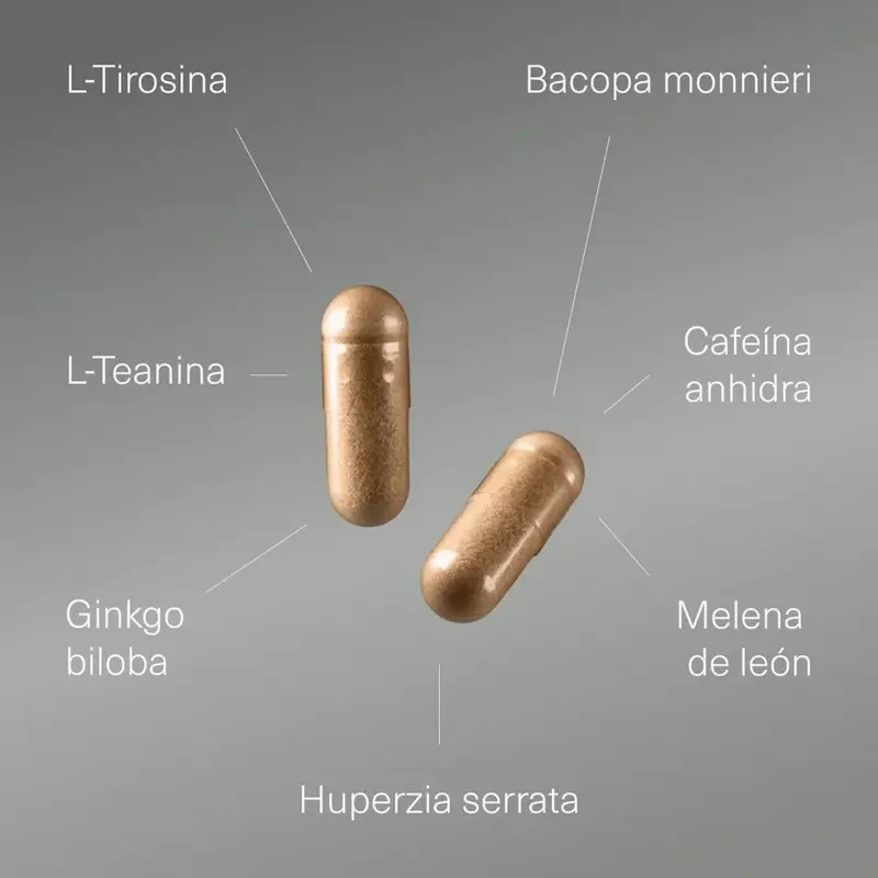 Nootropikum od Aldous Labs s ginkgo bilobou, levovou hrivou, kofeínom, bacopou, tyrozínom, teanínom a huperzínom A