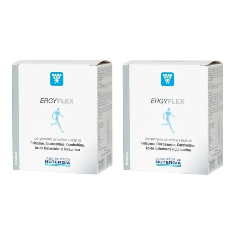 Nutergia Ergyflex 6 g, 2 × 30 vrecúšok 