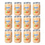 Nutriben Potito – zmes ovocia, 12 x 235 g