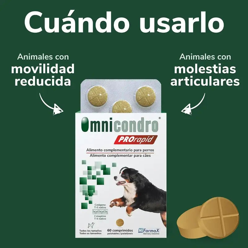 Omnicondro Prorapid, 60 tabliet