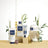 Phyto Nutrición Kondicionér, 175 ml