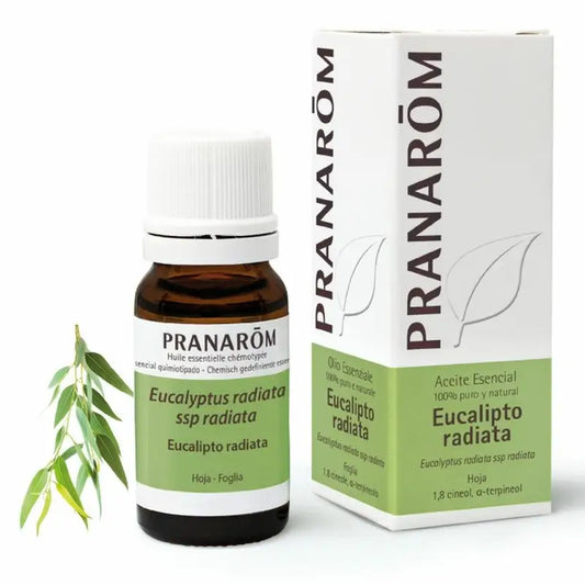 Pranarôm Eucalyptus Radiata Essential Oil 10 ml
