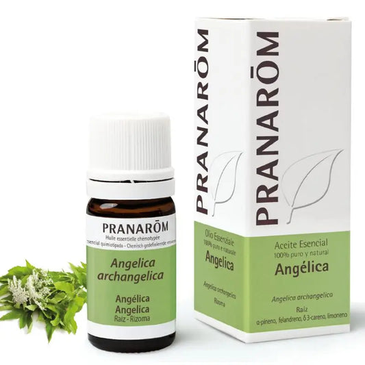 Pranarom Essential Oil Angelica, 5ml