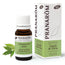 Pranarom Essential Oil Cinnamon from China Bio, 10ml