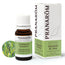 Pranarom Citronella Java Essential Oil, 10ml