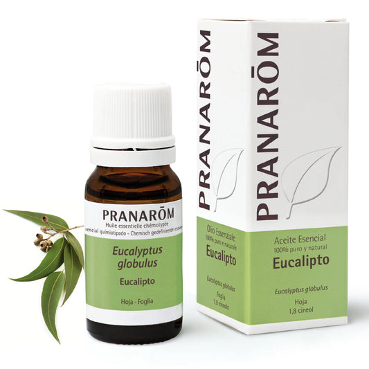 Pranarom Essential Oil Eucalyptus, 10ml