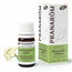Pranarom Chamomile Noble Essential Oil Bio, 5 ml
