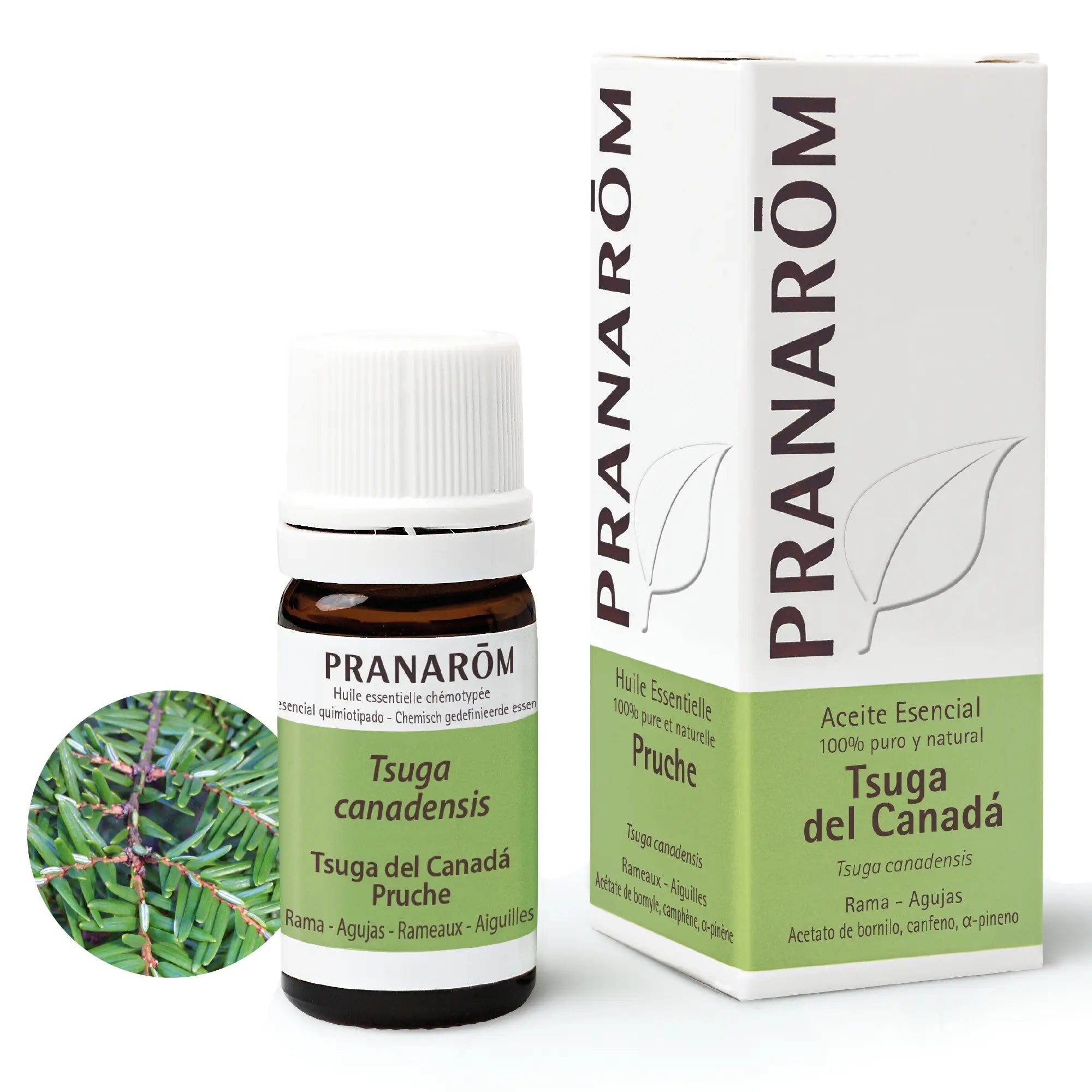 Pranarom Essential Oil Tsuga of Canada, 5ml
