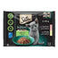 Sheba Kitten Pouch Mix pre mačky 13 × 4 × 85 g 