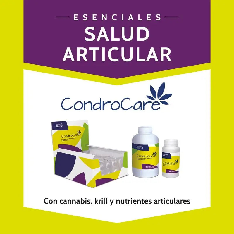 Stangest Condrocare 30 tabliet