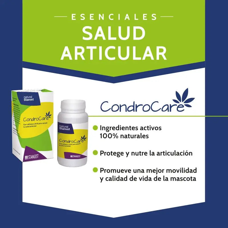 Stangest Condrocare 90 tabliet