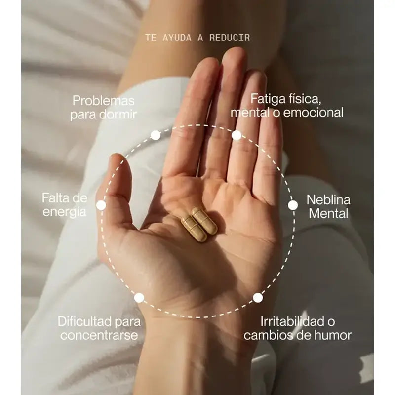 Superlativa Daily Electra, 3 × 60 kapsúl