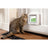 Sure PetCare SureFlap – biela dvierka pre mačky s mikročipom