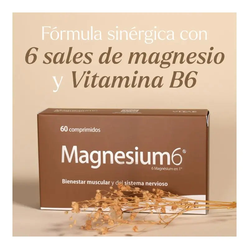 Magnesium6 20 tabliet – S obsahom 6 solí horčíka, vitamínu B6 a taurínu