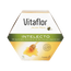 Vitaflor Intelecto 20 ampuliek