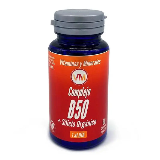 Ynsadiet Komplex B50 + kremík, 60 kapsúl.