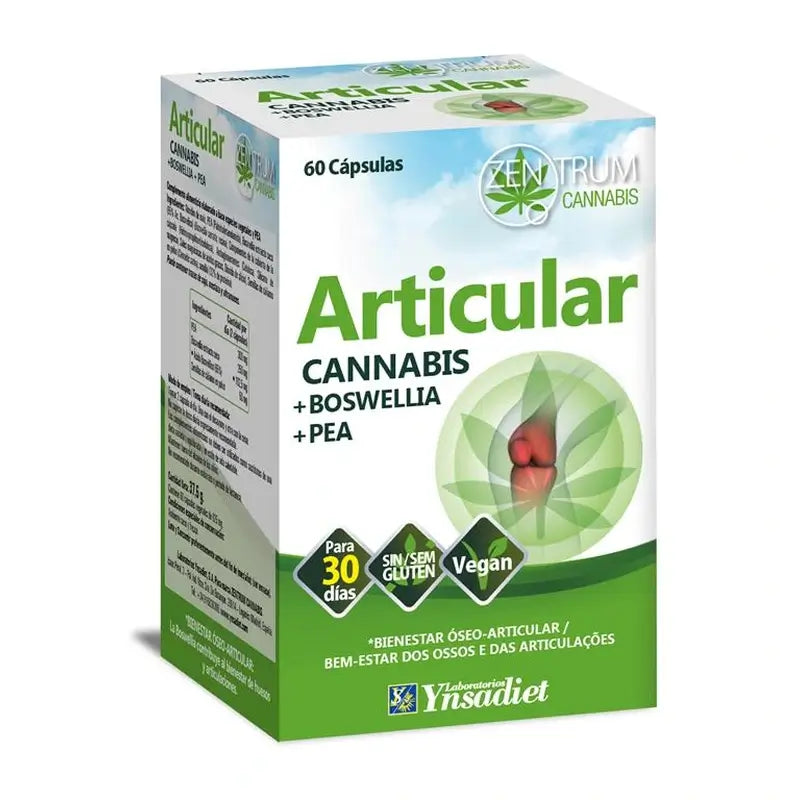 Zentrum Zentrum Cannabis Articular 60 kapsúl